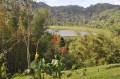 grenada, caribbean, west indie-174